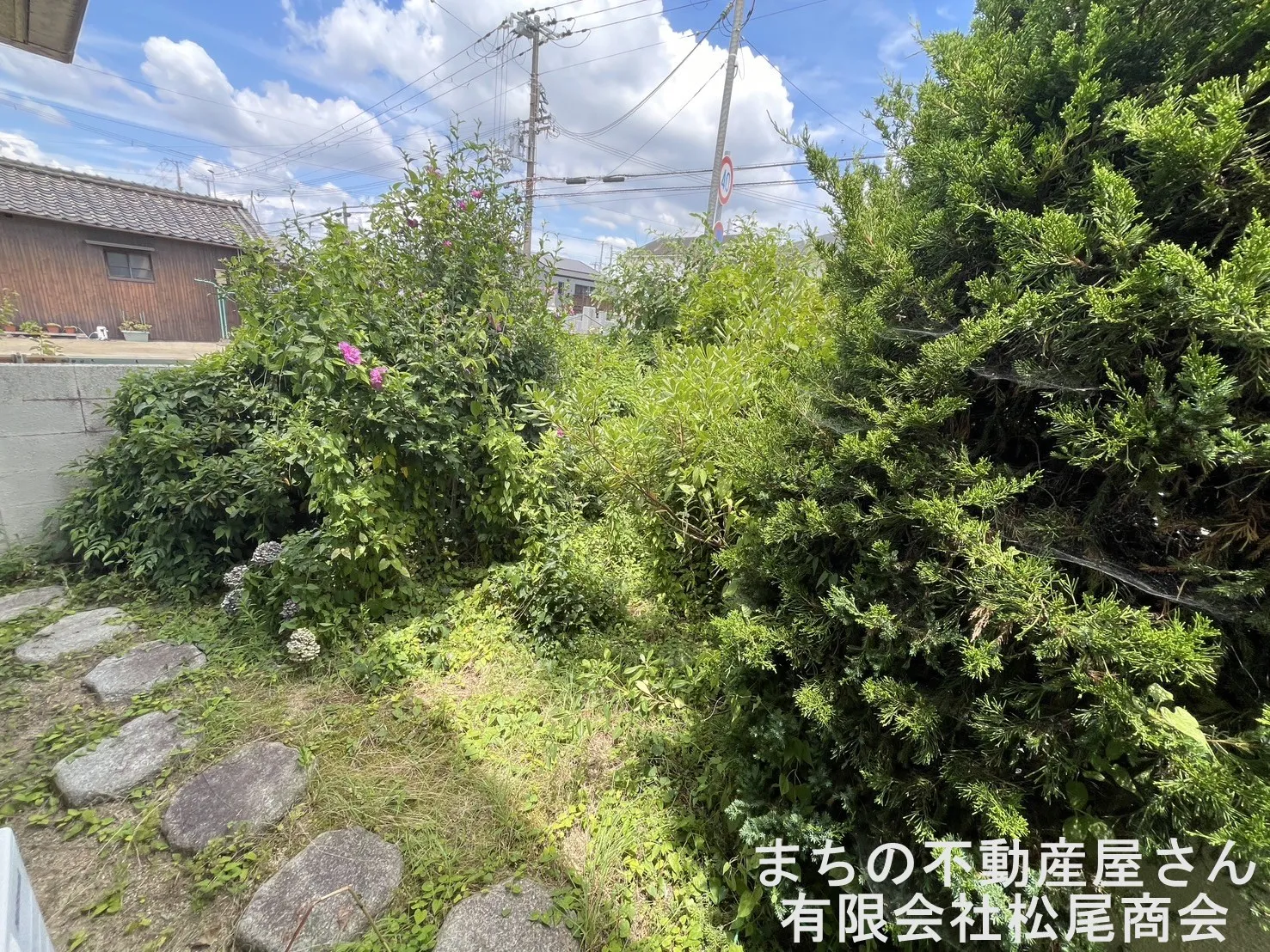 ✨新規物件情報✨