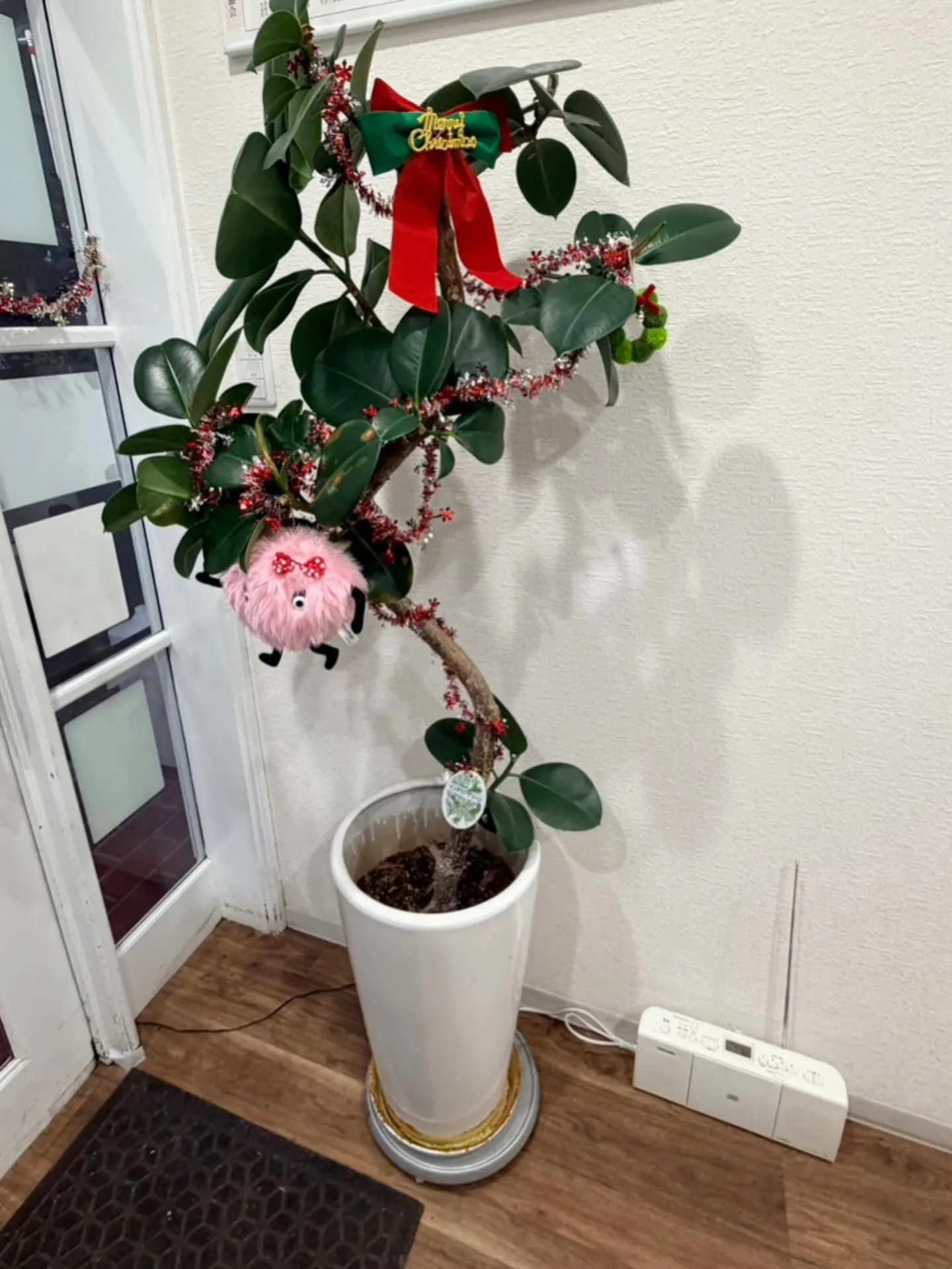 こんにちは！松尾商会です🎉