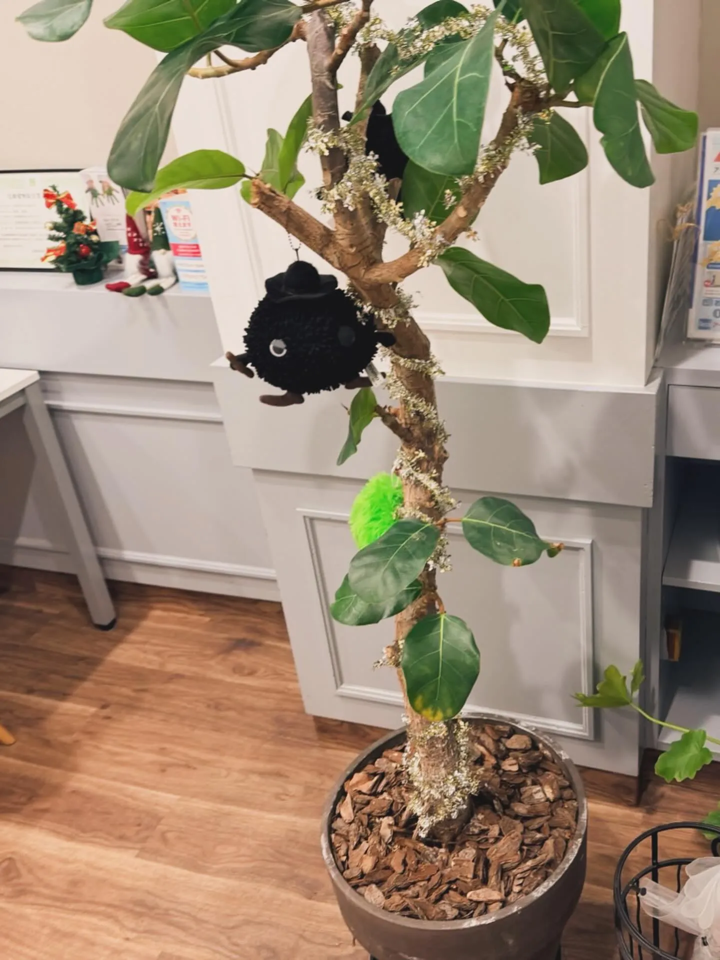 こんにちは！松尾商会です🎉