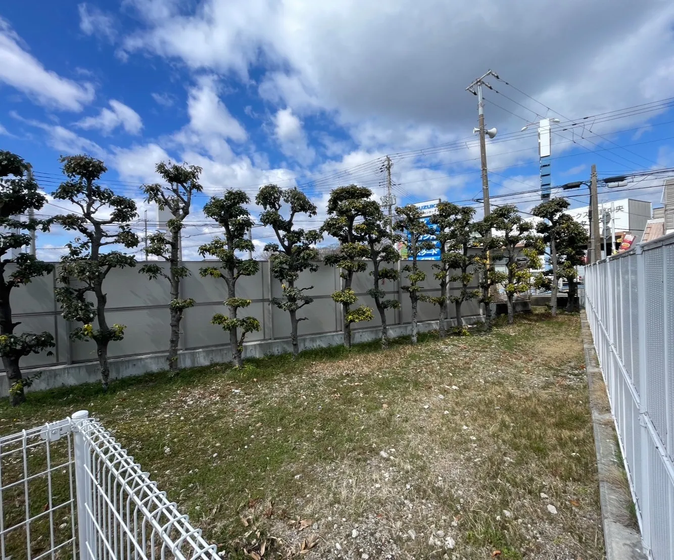 🏡✨*物件情報*