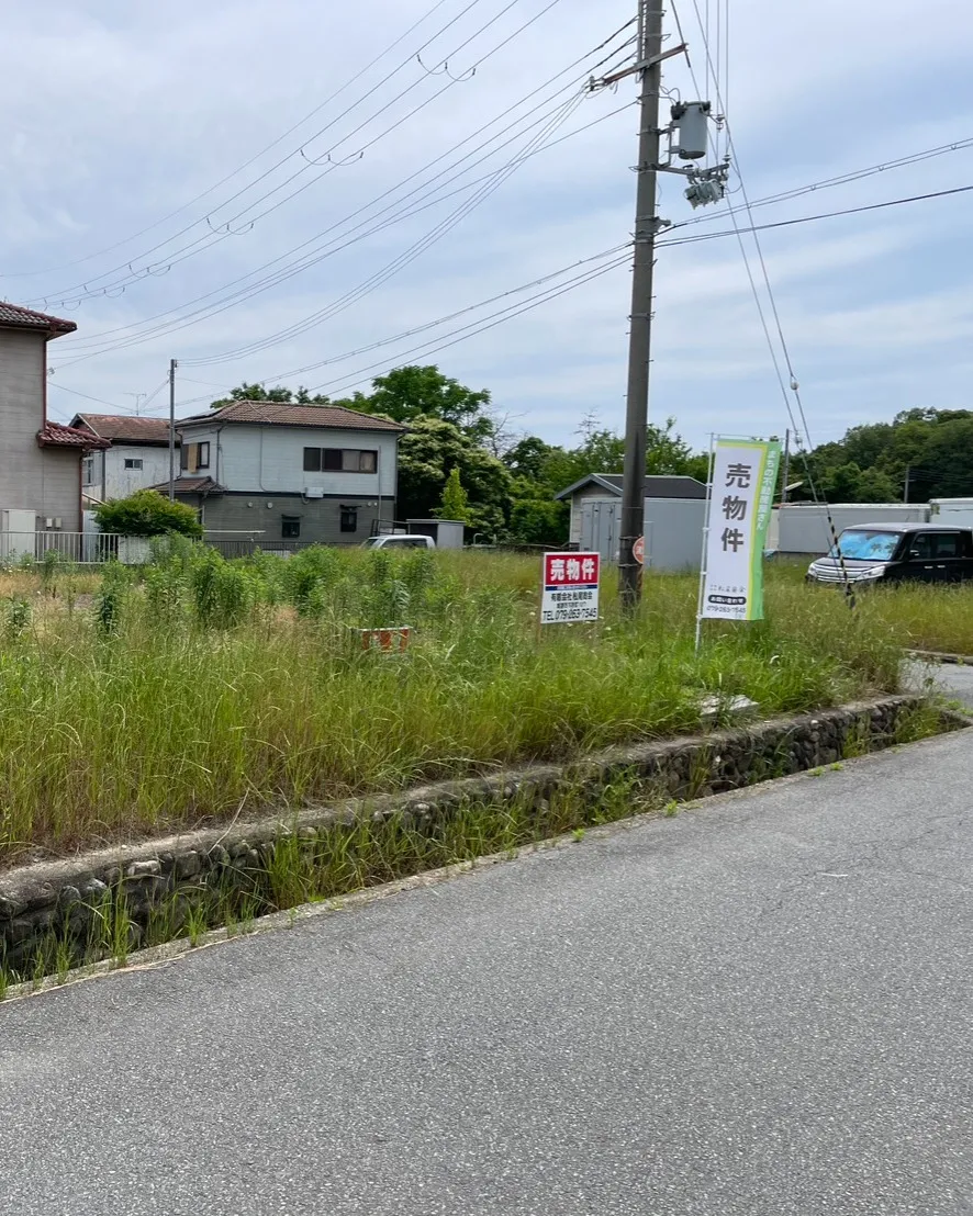 🏡✨【土地情報】✨🏡