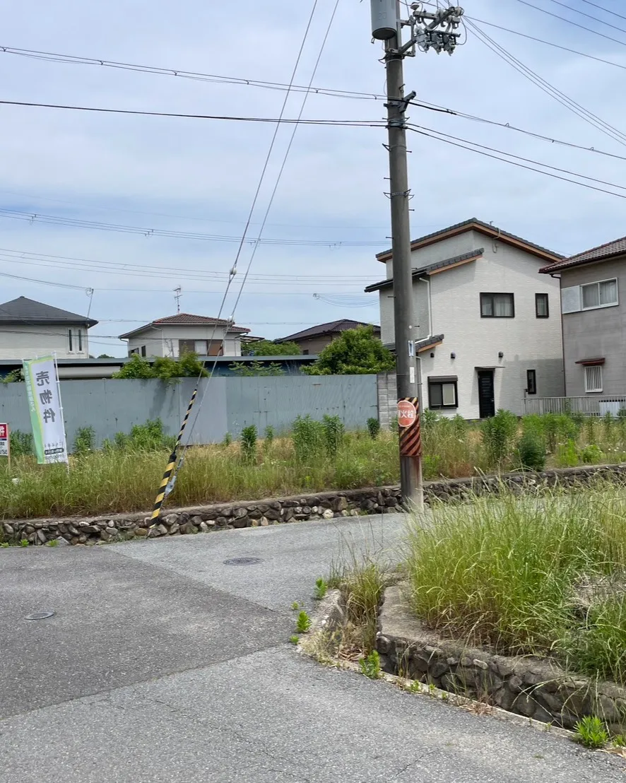 🏡✨【土地情報】✨🏡