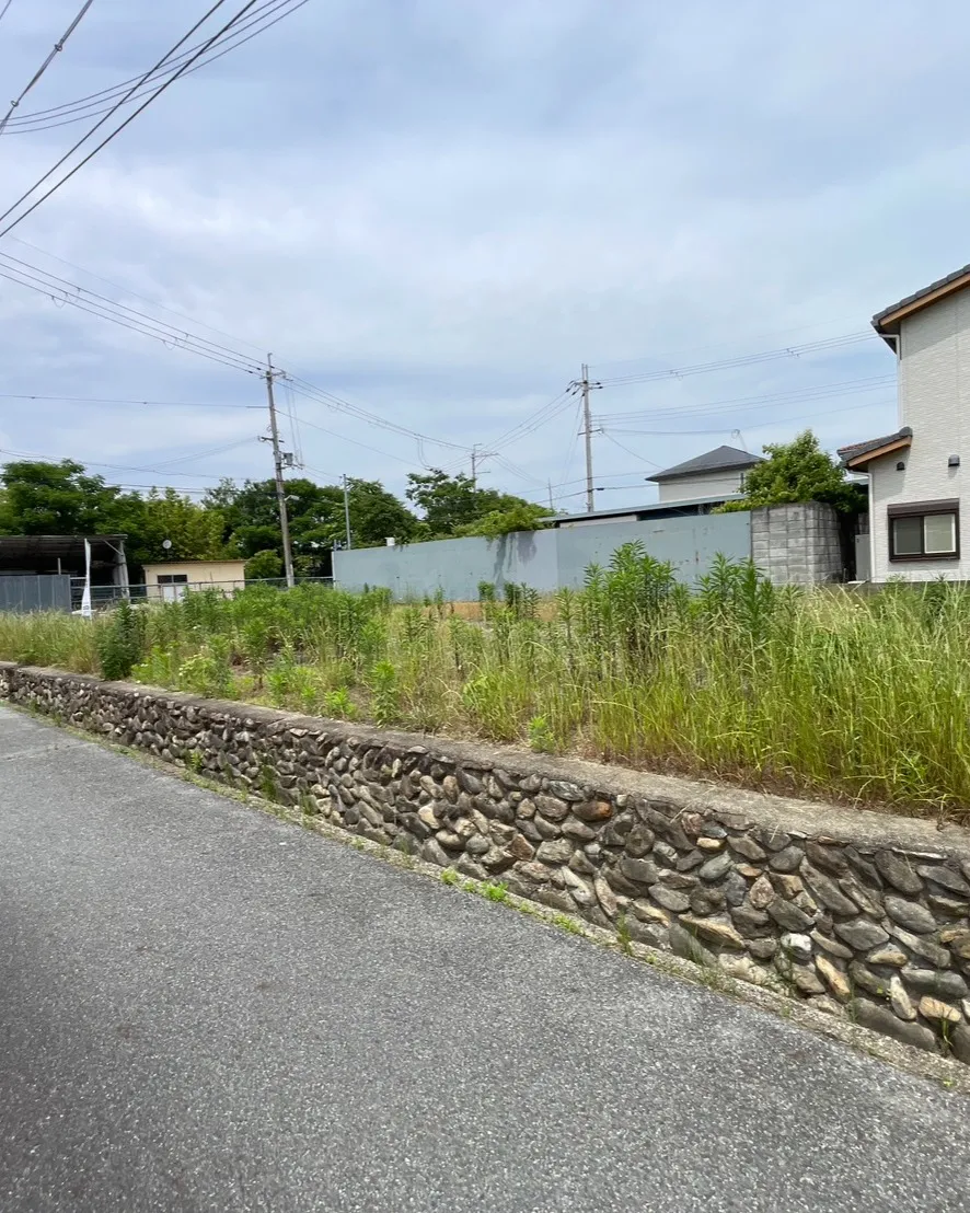 🏡✨【土地情報】✨🏡